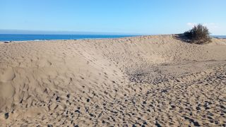 GC-Dunas de Maspalomas sunset 2026-008.jpg